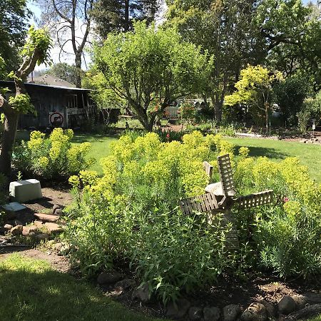 Trailside Inn Bed And Breakfast Calistoga Extérieur photo