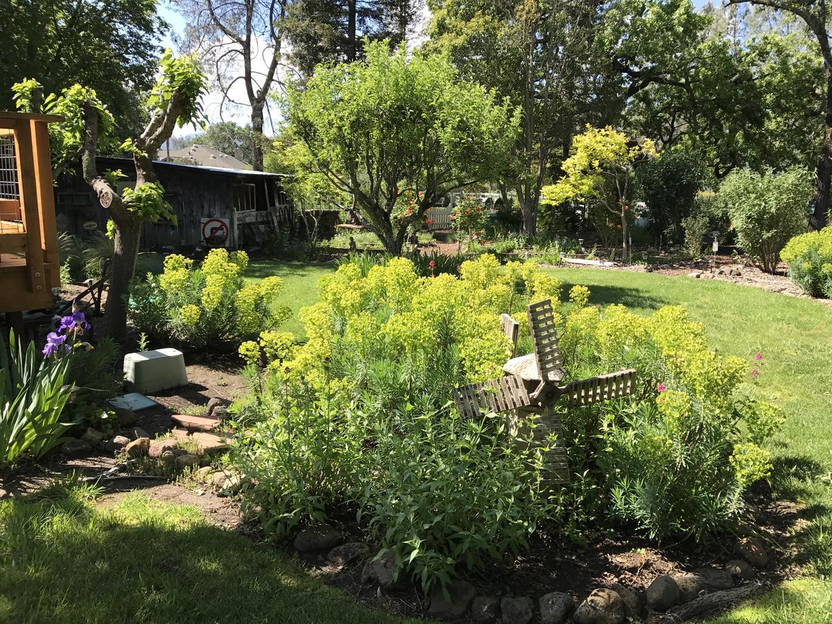 Trailside Inn Bed And Breakfast Calistoga Extérieur photo